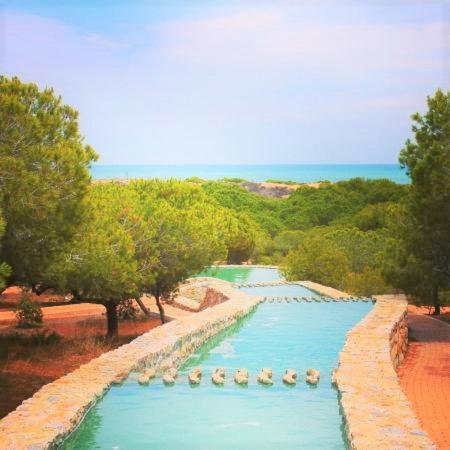 Apartment With Pool, Sea Views & Balcony Less Than 10Min Walk To La Mata Beach! Торевьиа Экстерьер фото